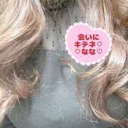 ヒメ日記 2025/08/19 09:58 投稿 なな 人妻・若妻デリヘル レディプレイス