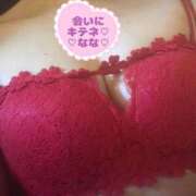 ヒメ日記 2025/09/09 10:06 投稿 なな 人妻・若妻デリヘル レディプレイス