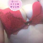 ヒメ日記 2025/10/08 10:41 投稿 なな 人妻・若妻デリヘル レディプレイス