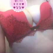 ヒメ日記 2025/11/23 10:46 投稿 なな 人妻・若妻デリヘル レディプレイス