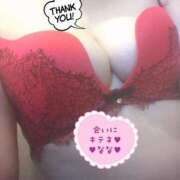 ヒメ日記 2025/12/23 10:40 投稿 なな 人妻・若妻デリヘル レディプレイス