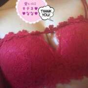 ヒメ日記 2026/01/28 10:48 投稿 なな 人妻・若妻デリヘル レディプレイス