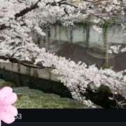 ヒメ日記 2025/03/31 15:55 投稿 【熟女】みつき 隣の奥様＆隣の熟女 滋賀店