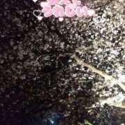 ヒメ日記 2025/04/15 20:10 投稿 【熟女】みつき 隣の奥様＆隣の熟女 滋賀店