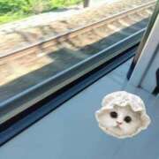 ヒメ日記 2025/08/14 16:07 投稿 【熟女】みつき 隣の奥様＆隣の熟女 滋賀店