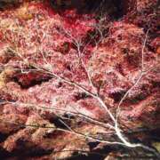 ヒメ日記 2025/11/15 15:01 投稿 【熟女】みつき 隣の奥様＆隣の熟女 滋賀店