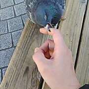 ヒメ日記 2025/02/13 11:48 投稿 星野 みゆき 待合せ型人妻エステ回春堂 谷九本店