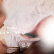 ヒメ日記 2025/04/19 10:32 投稿 月野　うさぎ Oasis(薬研堀)