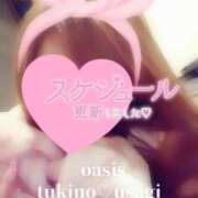 ヒメ日記 2025/04/23 16:44 投稿 月野　うさぎ Oasis(薬研堀)