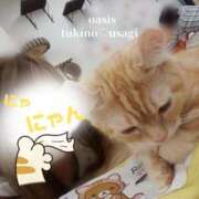 ヒメ日記 2025/04/29 18:32 投稿 月野　うさぎ Oasis(薬研堀)