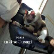 ヒメ日記 2026/02/22 14:52 投稿 月野　うさぎ Oasis(薬研堀)