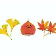 ヒメ日記 2025/11/01 18:00 投稿 尾澤　遼香 セレブショップ新宿（東京ハレ系）