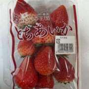 ヒメ日記 2026/03/11 09:48 投稿 尾澤　遼香 セレブショップ新宿（東京ハレ系）