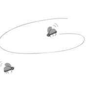 ヒメ日記 2026/04/16 09:47 投稿 尾澤　遼香 セレブショップ新宿（東京ハレ系）