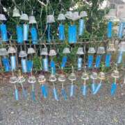 ヒメ日記 2025/08/27 21:36 投稿 カンナ 155