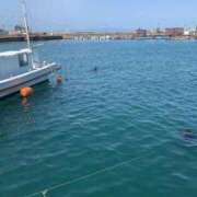 ヒメ日記 2026/03/04 10:17 投稿 ゆきの 妻天 京橋店