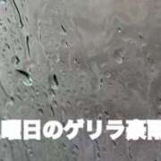 ヒメ日記 2024/08/27 12:43 投稿 かりん 仙台人妻セレブリティー