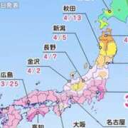 ヒメ日記 2025/03/20 10:36 投稿 かりん 仙台人妻セレブリティー