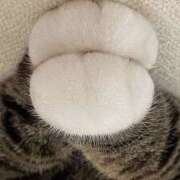 ヒメ日記 2025/04/19 15:27 投稿 かりん 仙台人妻セレブリティー