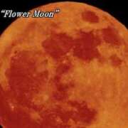 ヒメ日記 2025/05/13 11:57 投稿 かりん 仙台人妻セレブリティー