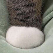 ヒメ日記 2025/05/25 16:33 投稿 かりん 仙台人妻セレブリティー