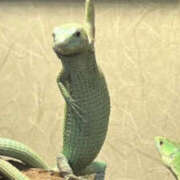 ヒメ日記 2025/08/14 11:52 投稿 かりん 仙台人妻セレブリティー