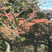 ヒメ日記 2025/11/06 14:37 投稿 かりん 仙台人妻セレブリティー