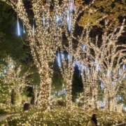 ヒメ日記 2025/12/05 13:45 投稿 かりん 仙台人妻セレブリティー