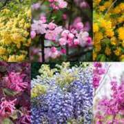 かりん 新クールドラマとネトフリ。 仙台人妻セレブリティー