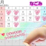 ヒメ日記 2026/02/25 19:30 投稿 なごみ 小岩人妻花壇