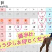 なごみ 出勤予定カレンダーです^ ^ 小岩人妻花壇