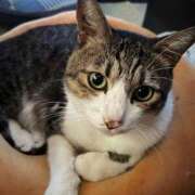 ヒメ日記 2025/01/19 15:00 投稿 ほのか 快楽夫人