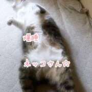 ヒメ日記 2025/02/11 01:08 投稿 ほのか 快楽夫人