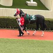 ヒメ日記 2025/03/14 22:12 投稿 ほのか 快楽夫人