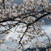 ヒメ日記 2025/04/05 16:18 投稿 ほのか 快楽夫人