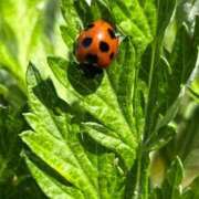 ヒメ日記 2025/04/26 22:08 投稿 ほのか 快楽夫人