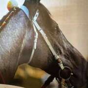 ヒメ日記 2025/09/06 11:51 投稿 ほのか 快楽夫人