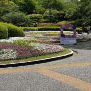 ヒメ日記 2025/09/12 23:52 投稿 ほのか 快楽夫人