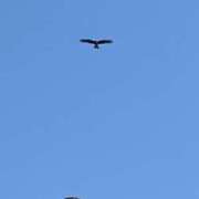 ヒメ日記 2025/09/13 00:08 投稿 ほのか 快楽夫人