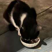 ヒメ日記 2025/10/13 12:14 投稿 ほのか 快楽夫人