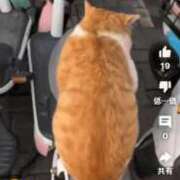 ヒメ日記 2025/10/26 10:44 投稿 ほのか 快楽夫人