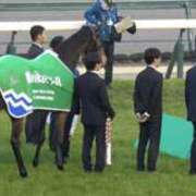 ヒメ日記 2025/12/02 13:50 投稿 ほのか 快楽夫人