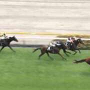 ヒメ日記 2025/12/05 18:52 投稿 ほのか 快楽夫人