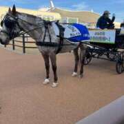 ヒメ日記 2025/12/13 10:05 投稿 ほのか 快楽夫人