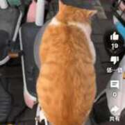 ヒメ日記 2026/01/17 12:46 投稿 ほのか 快楽夫人