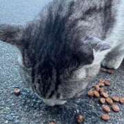 ヒメ日記 2026/02/08 10:08 投稿 ほのか 快楽夫人