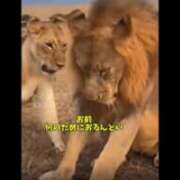 ヒメ日記 2026/02/20 01:06 投稿 ほのか 快楽夫人