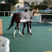 ヒメ日記 2026/03/20 23:13 投稿 ほのか 快楽夫人