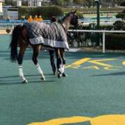 ヒメ日記 2026/03/29 11:26 投稿 ほのか 快楽夫人