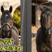 ヒメ日記 2026/09/21 10:42 投稿 ほのか 快楽夫人